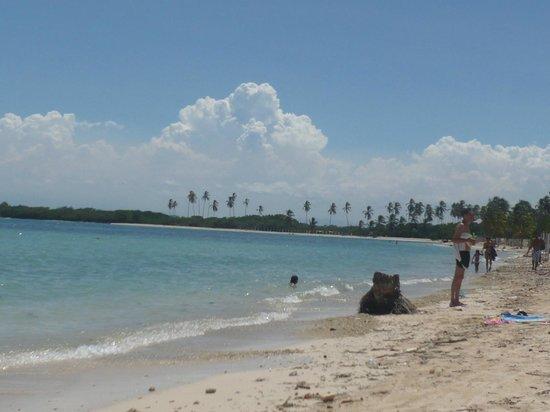 Sandee Punta Brava Beach