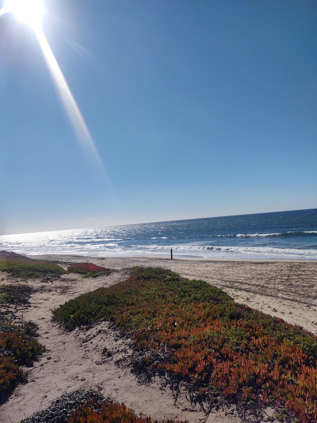 Sandee - Venice State Beach