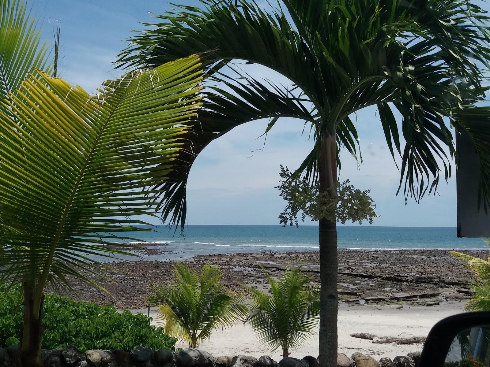 Sandee Playa Los Cocoteros