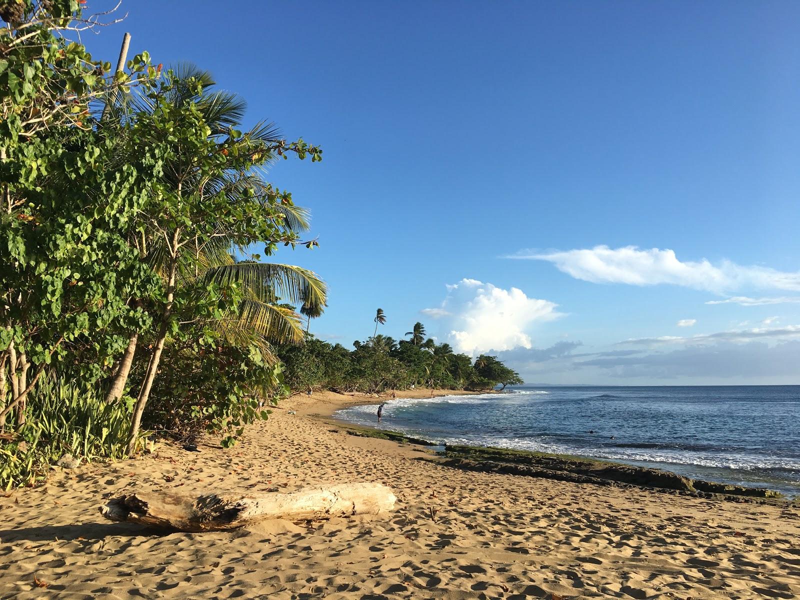 Sandee River Mouth Beach Photo