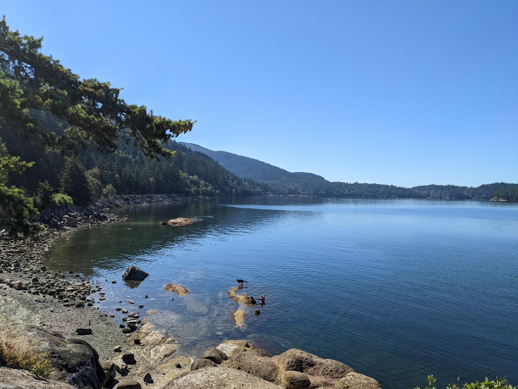 Sandee Teddy Bear Cove - Chuckanut Mountain Trails Photo