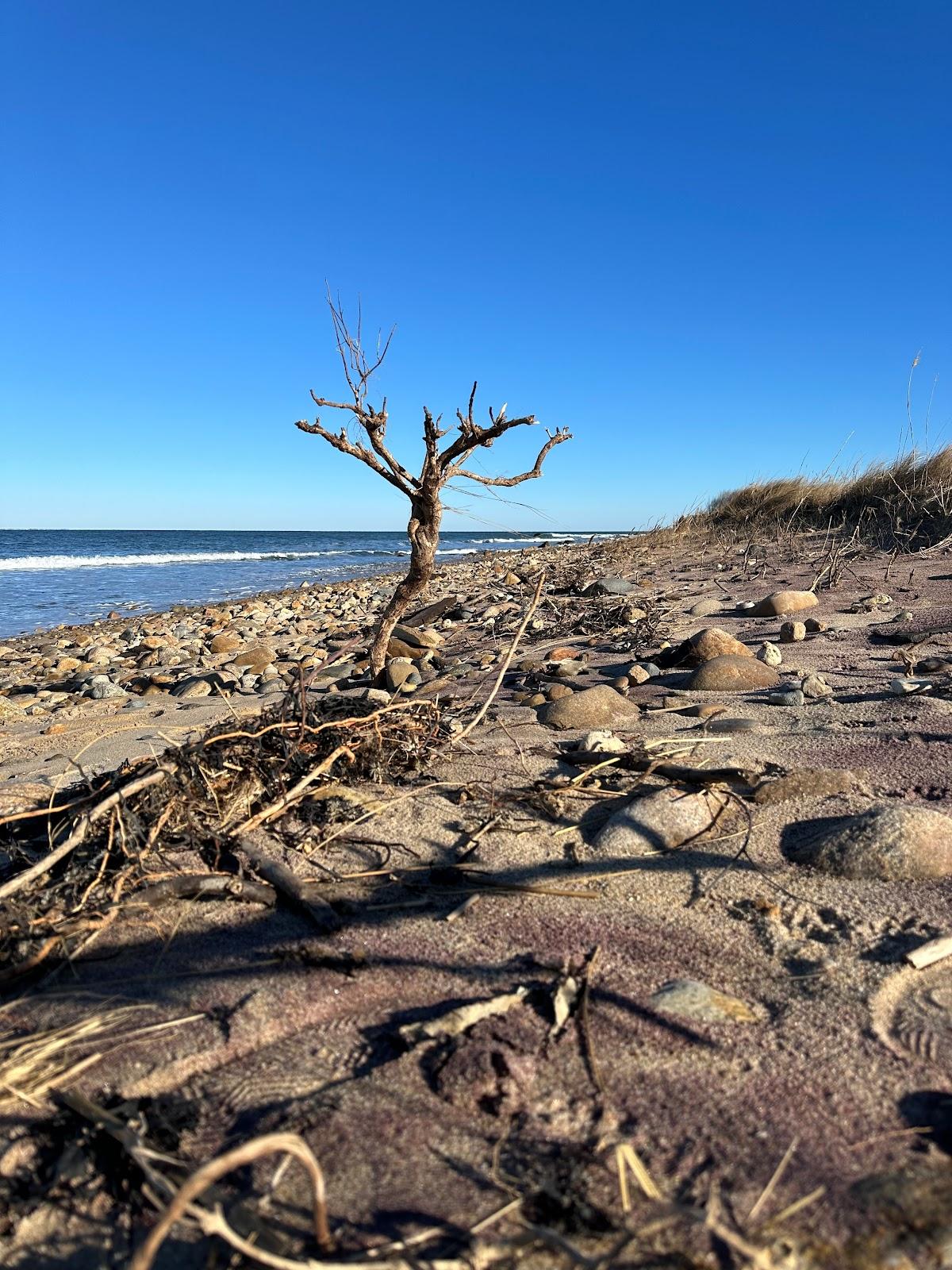 Sandee - Montauk Point State Park