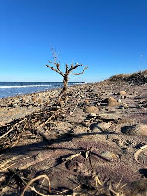 Sandee - Montauk Point State Park