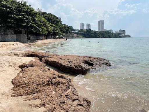 Sandee Paradise Beach Pattaya Photo