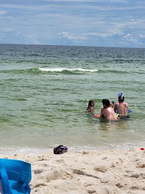 Sandee - Perdido Key State Park Beach