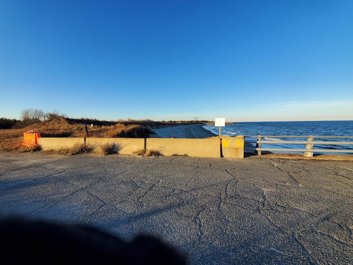Sandee Dog Beach