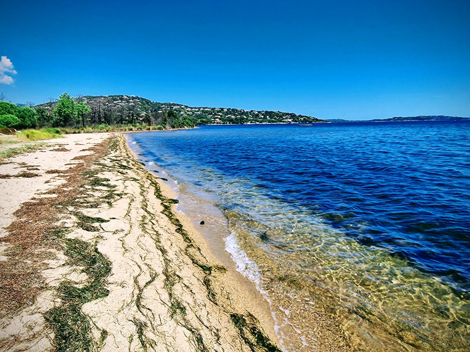 Sandee Plage De Cala Verde - Piaghja Di Cala Verde