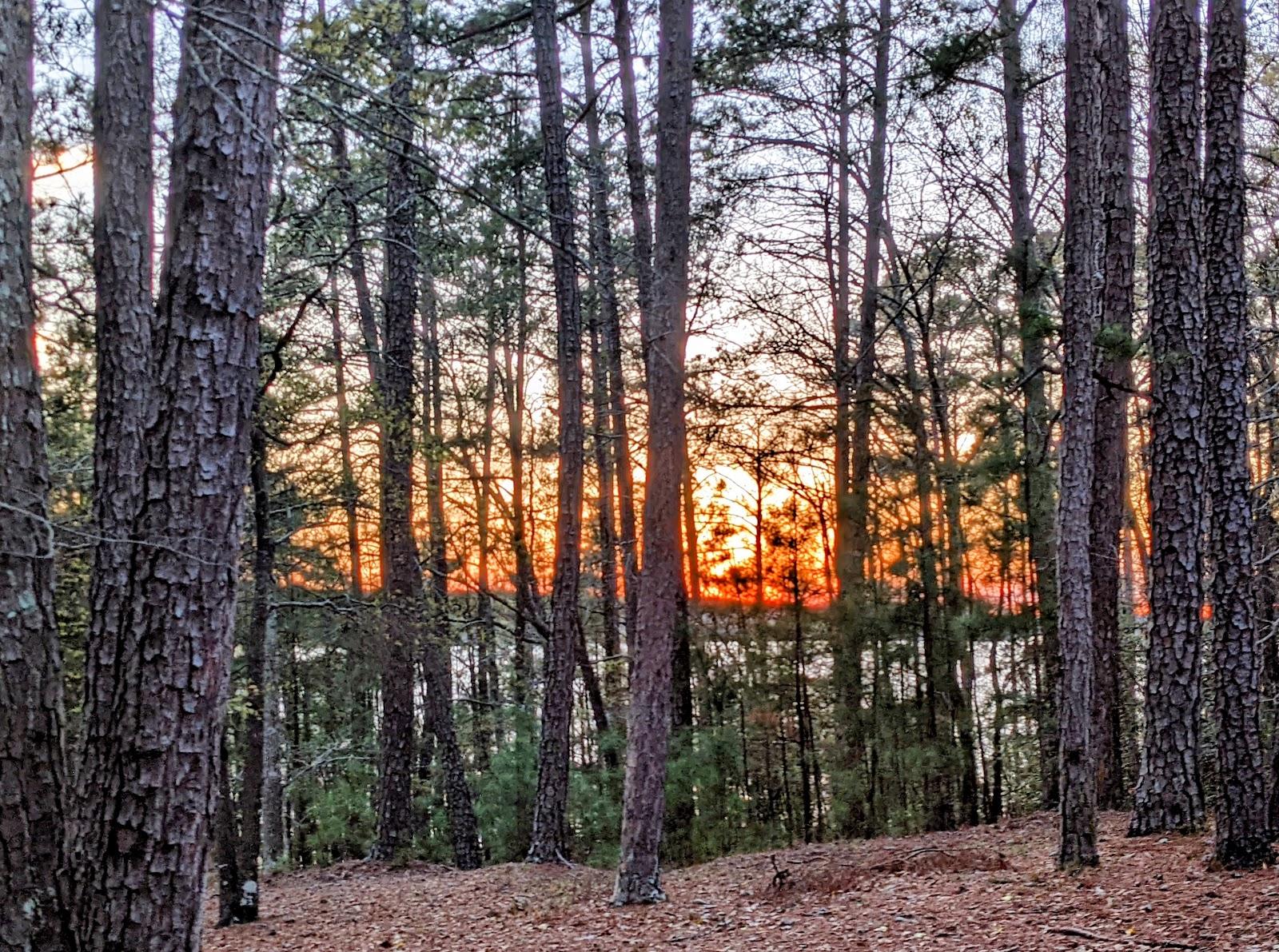 Sandee - Hickory Knob State Park