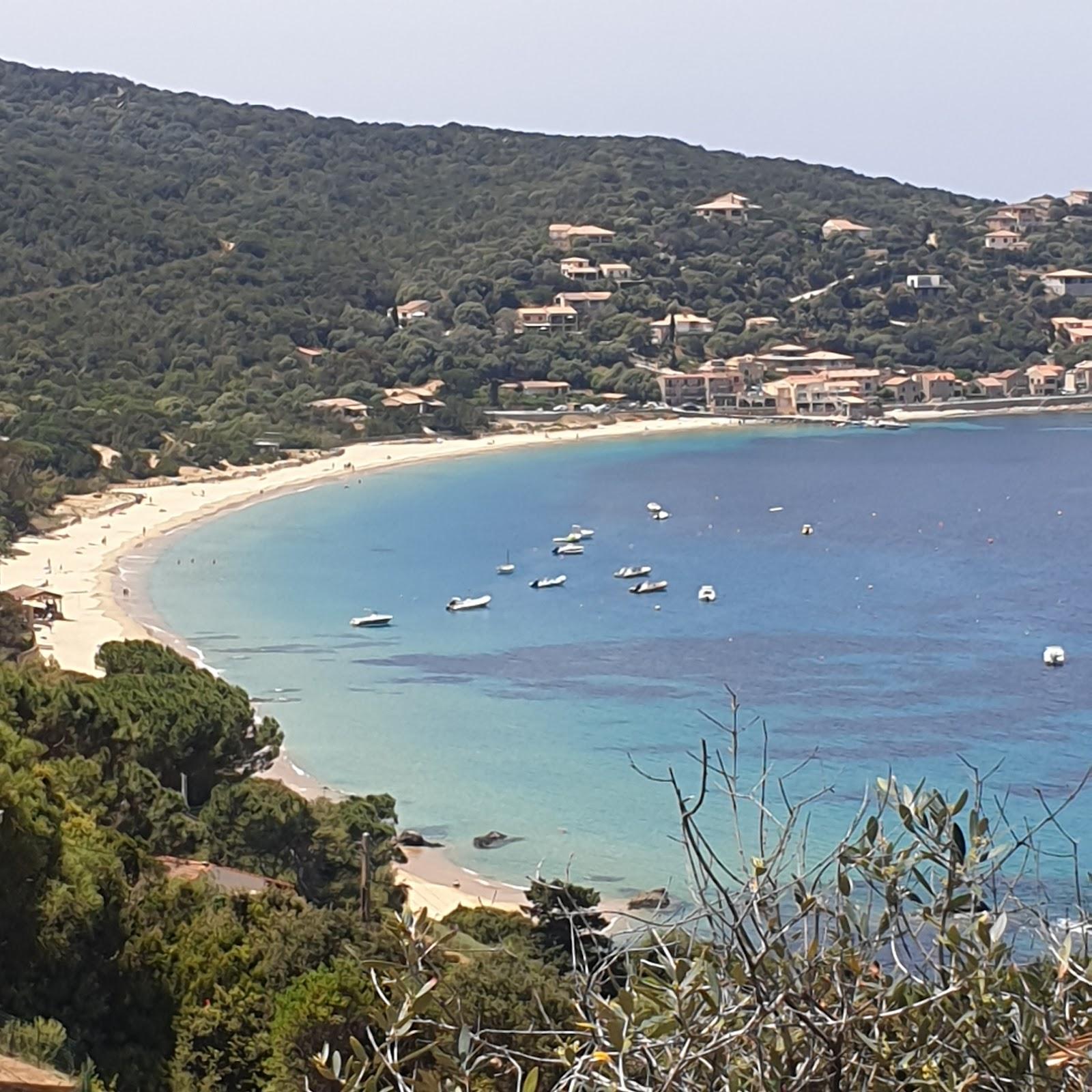 Sandee Plage De Campomoro