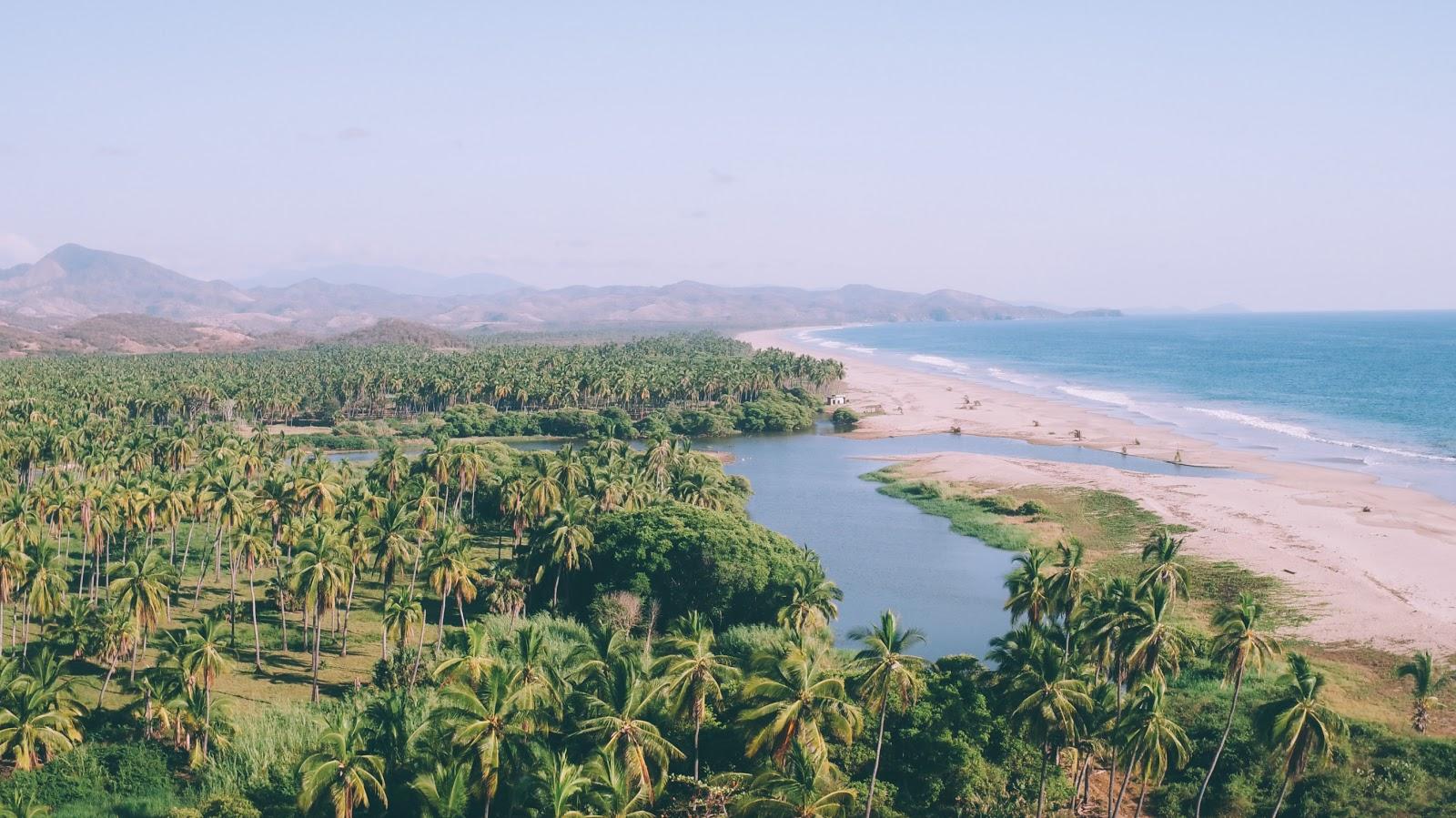 Sandee Playa Viva
