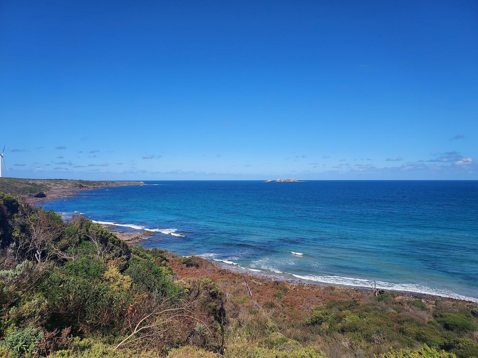 Sandee Blacknose Point