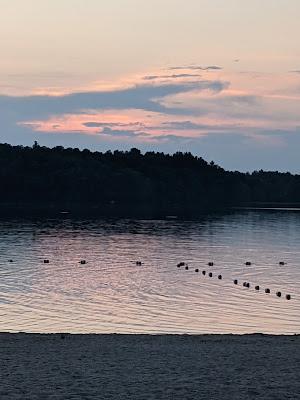 Sandee - Westborough Town Beach