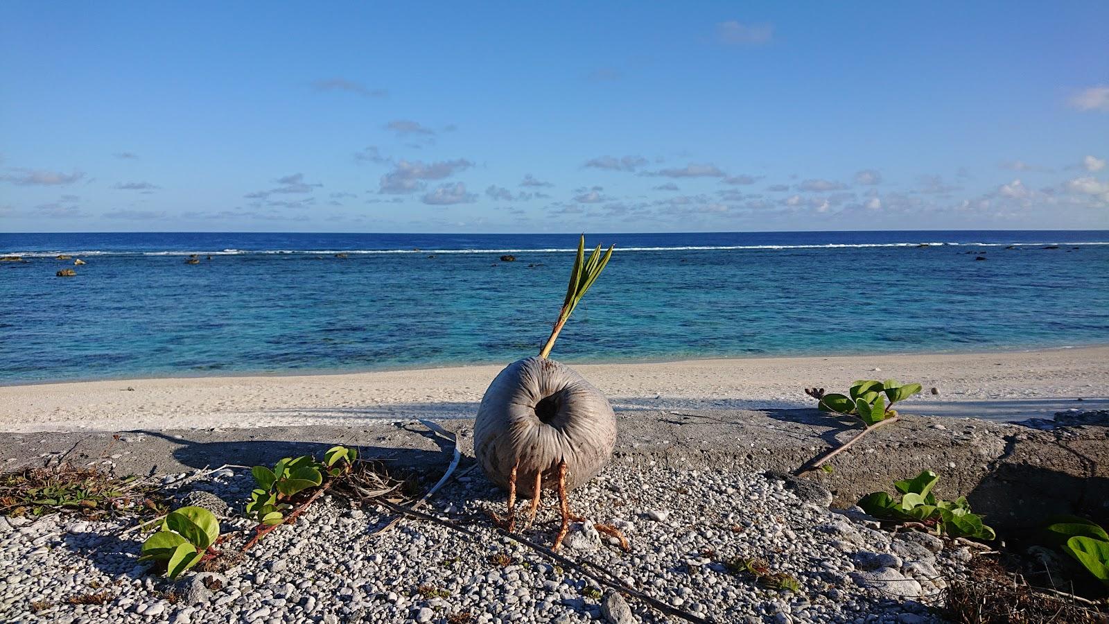 Sandee - Marcus Island