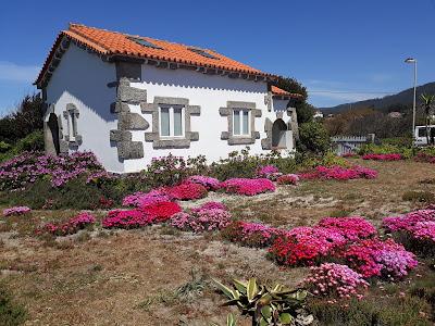 Sandee - Praia De Carreco