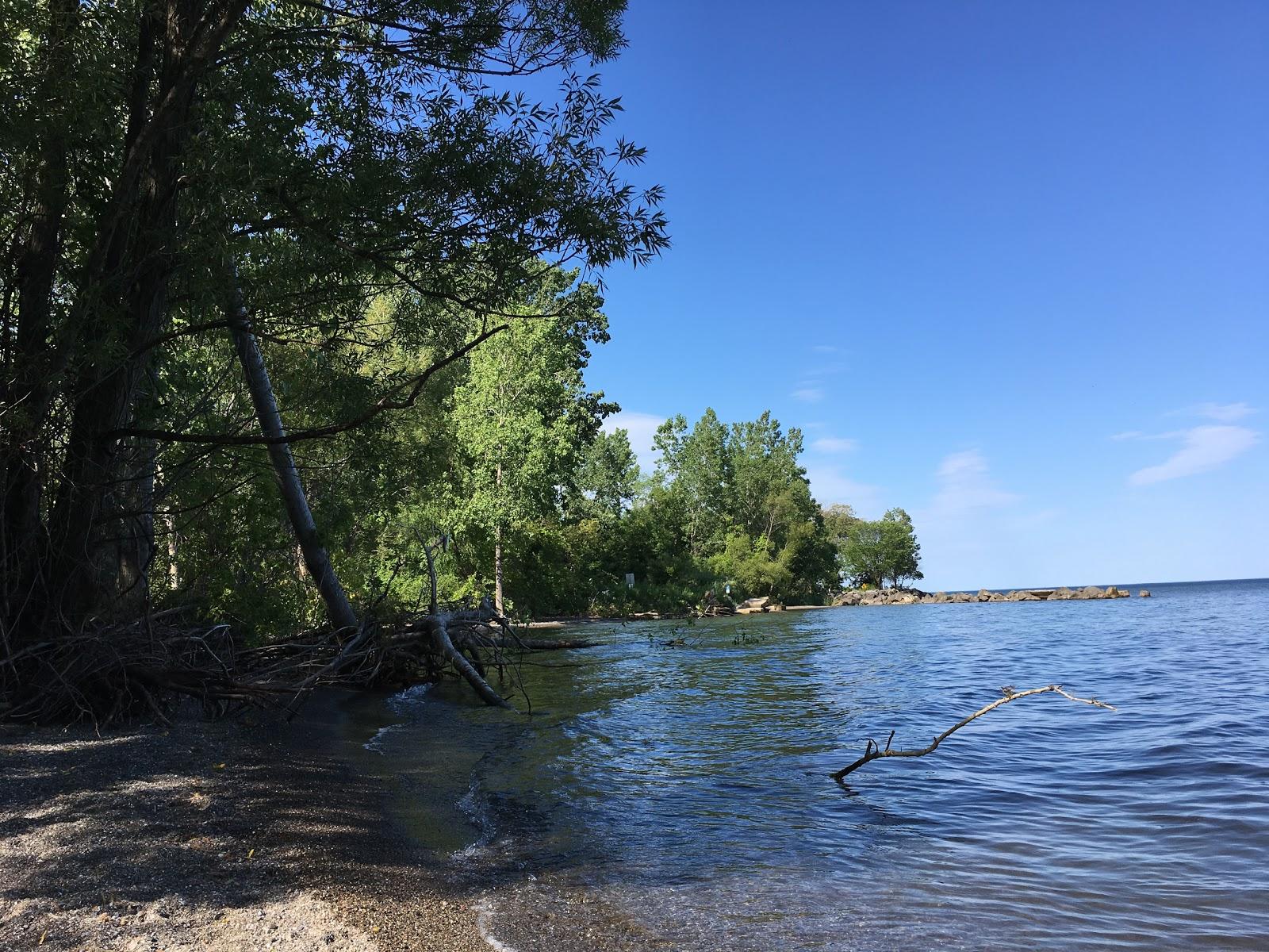 Sandee Hillman Marsh Beach