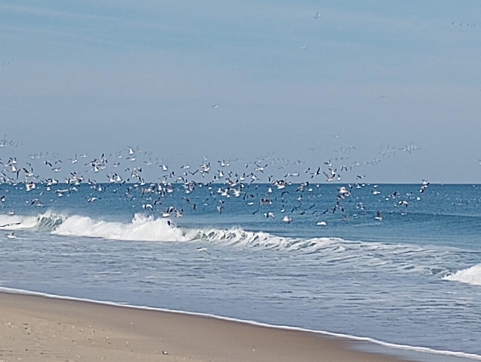 Sandee - Kitty Hawk Beach