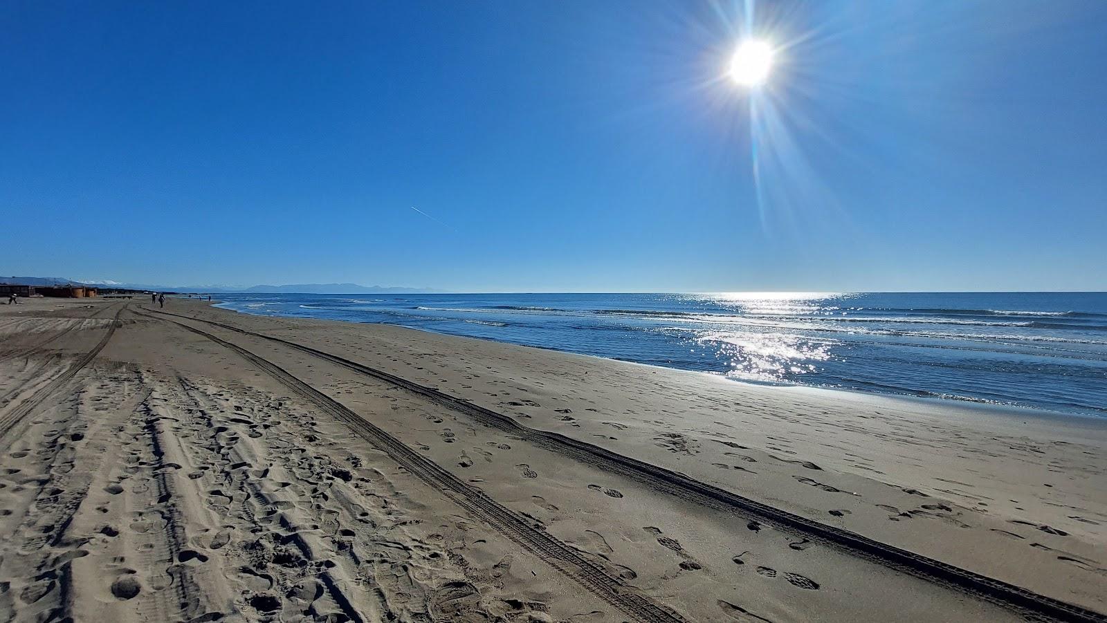 Sandee Safari Beach Photo