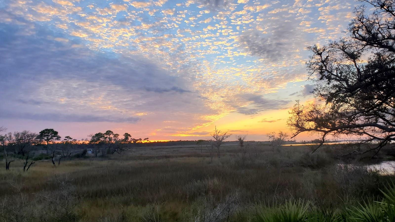 Sandee - Bald Point