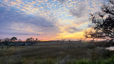 Sandee - Bald Point