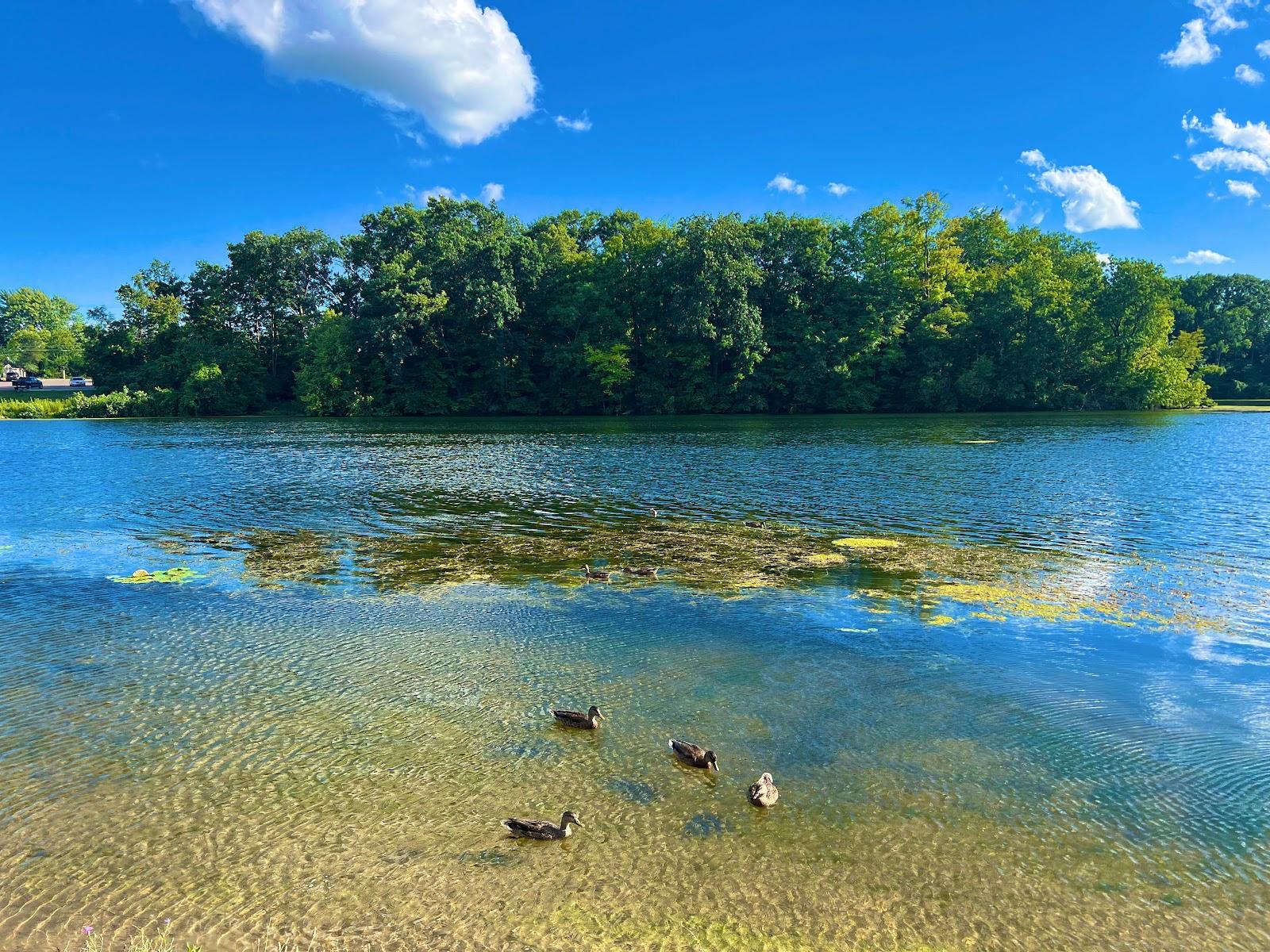 Sandee Newburgh Lake Public Access Photo