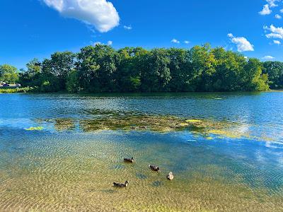 Sandee - Newburgh Lake Public Access