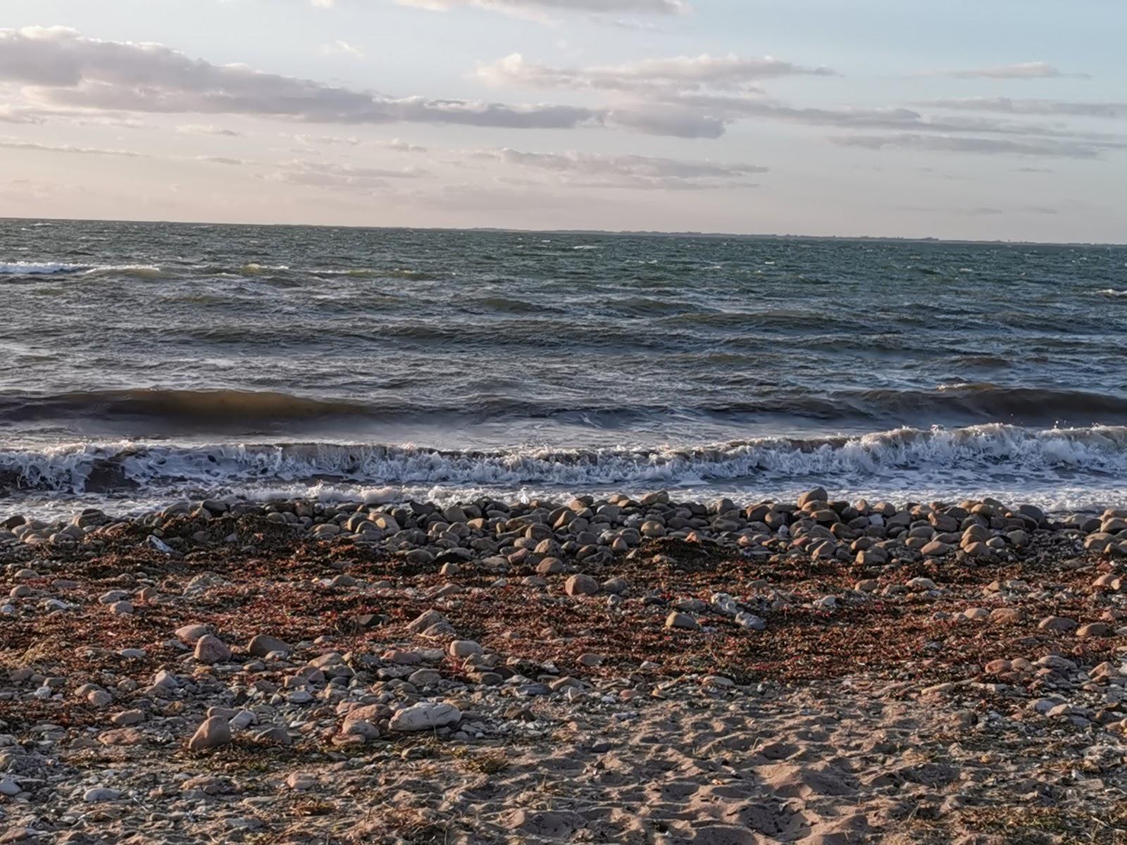 Sandee Høve Strand, Skelbakken