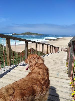 Sandee - Praia Da Ilha Do Pessegueiro