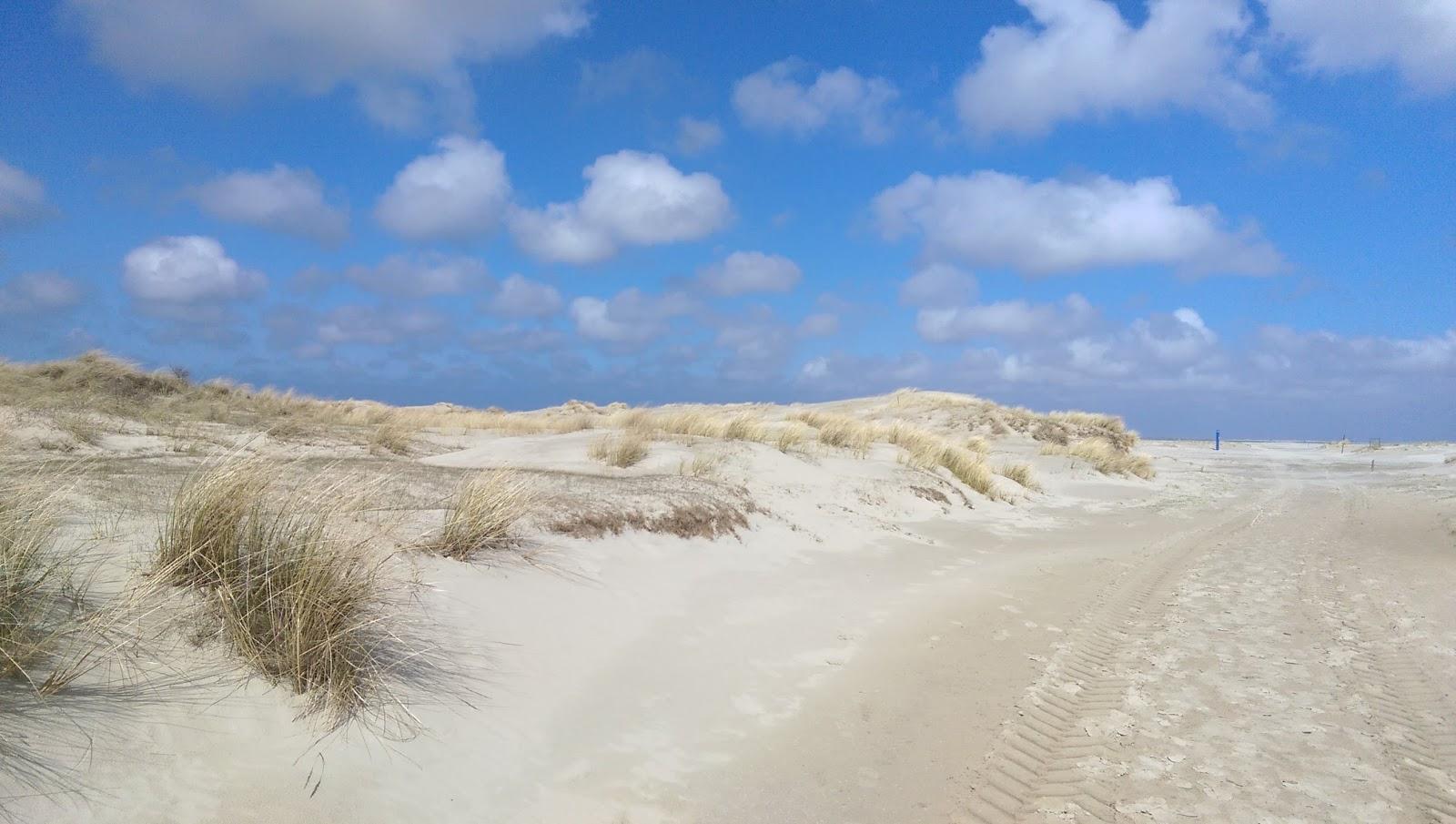 Sandee Ostland Strand