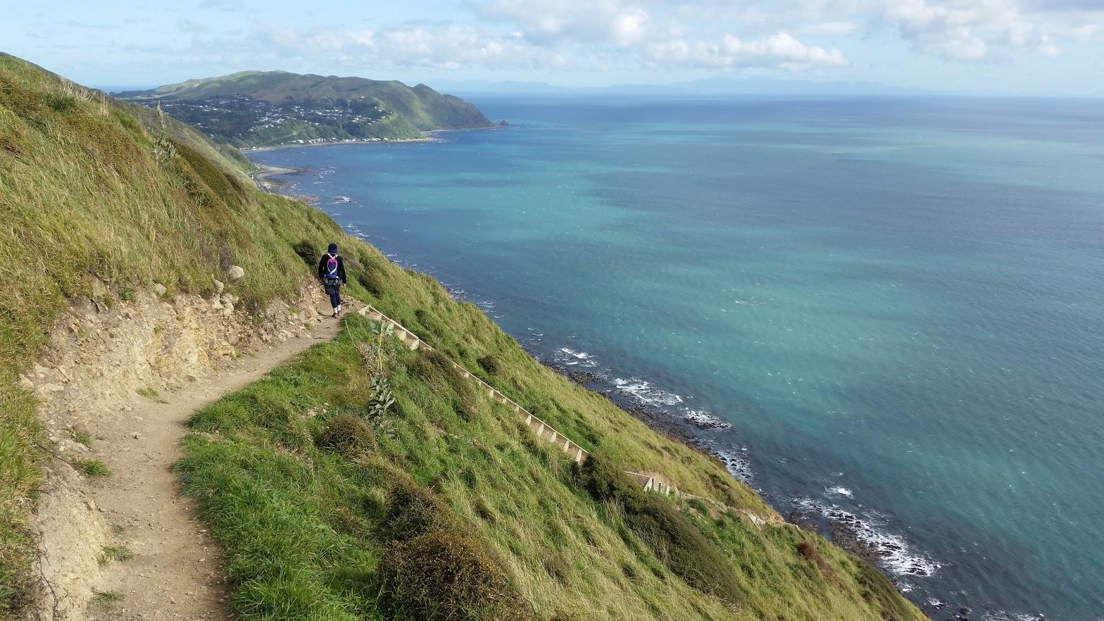 Sandee Pukerua Bay Photo