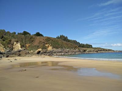 Sandee - Playa De Figueras