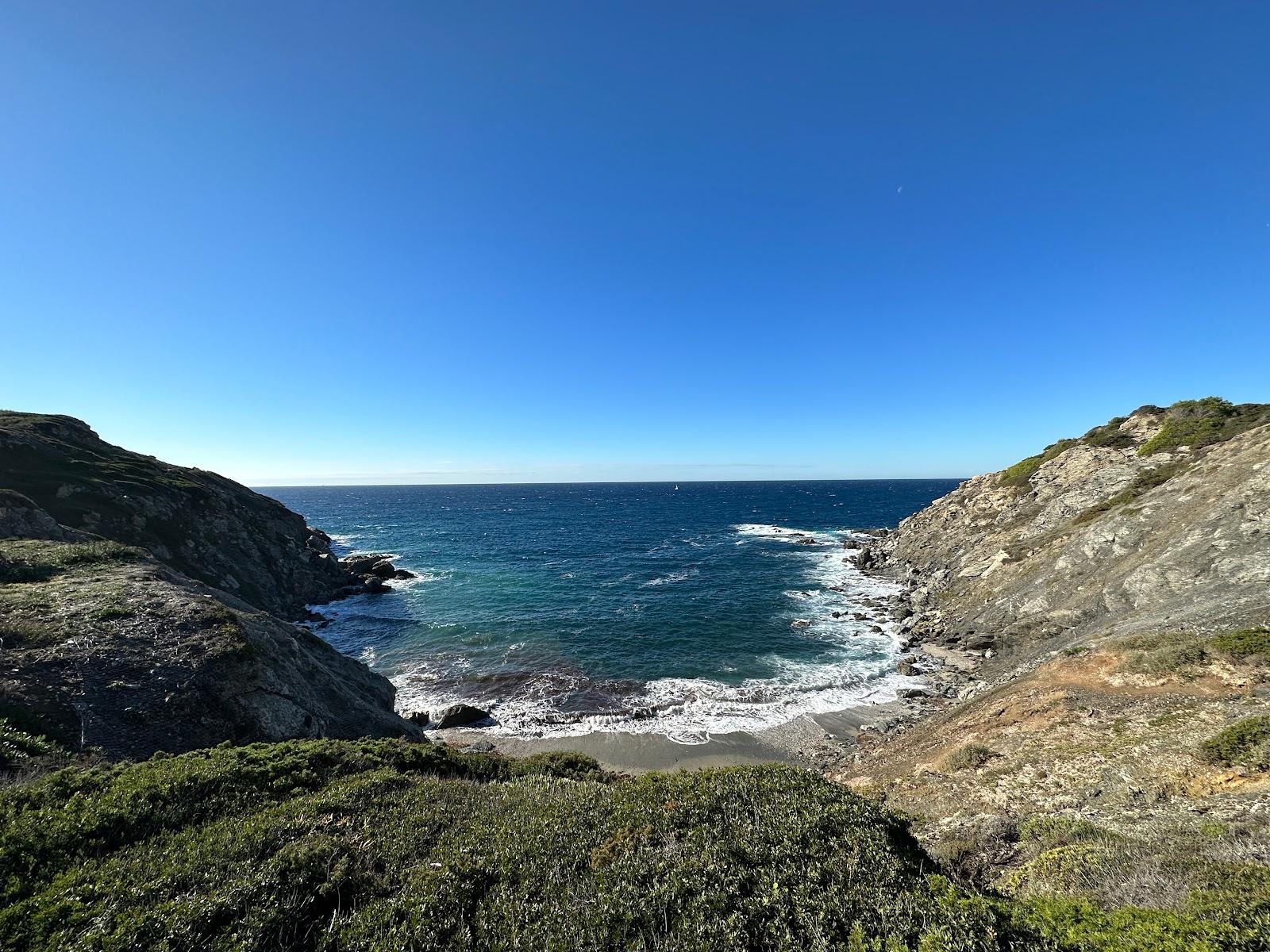 Sandee Plage Du Rix Photo