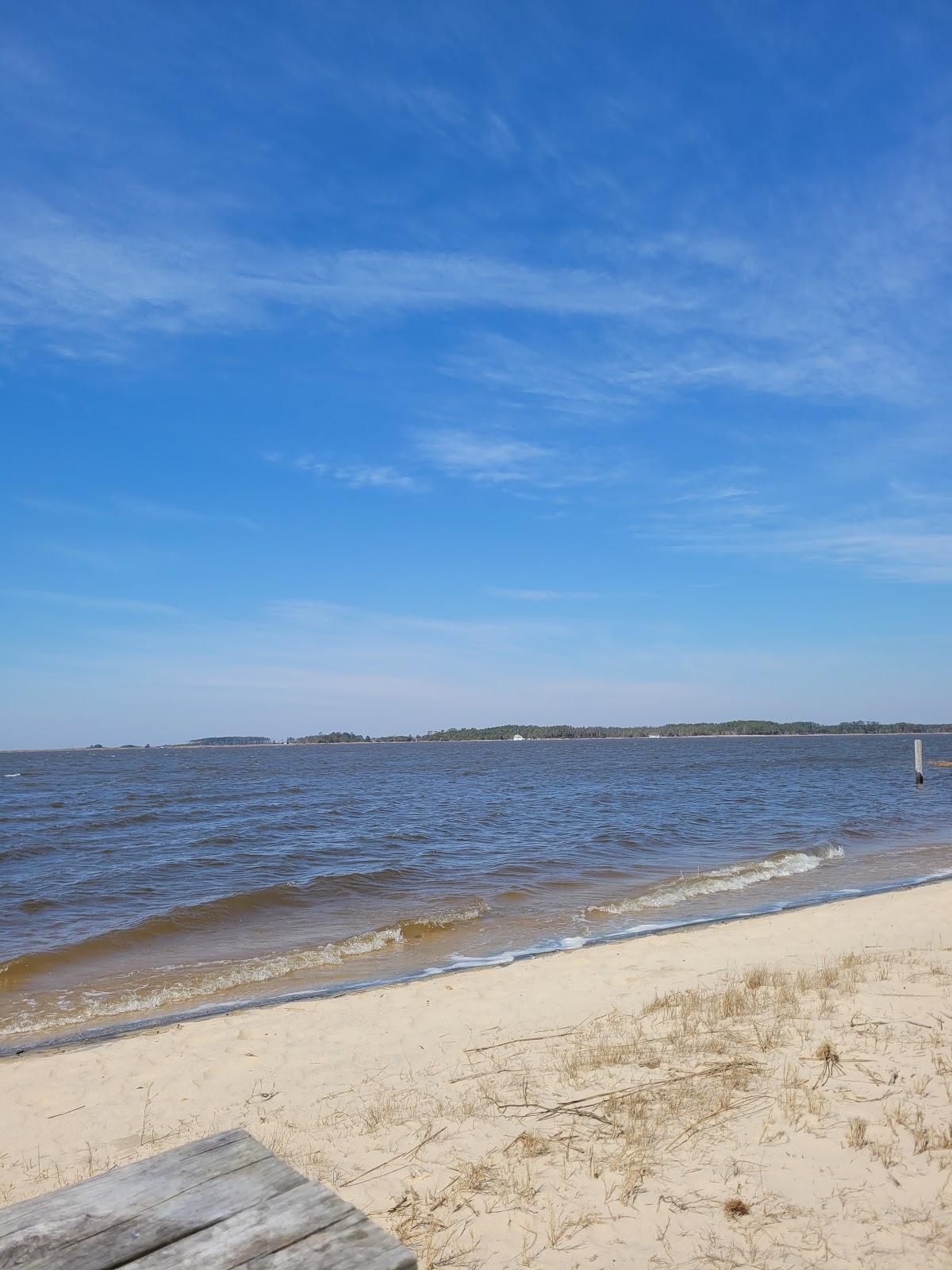 Sandee Raccoon Point
