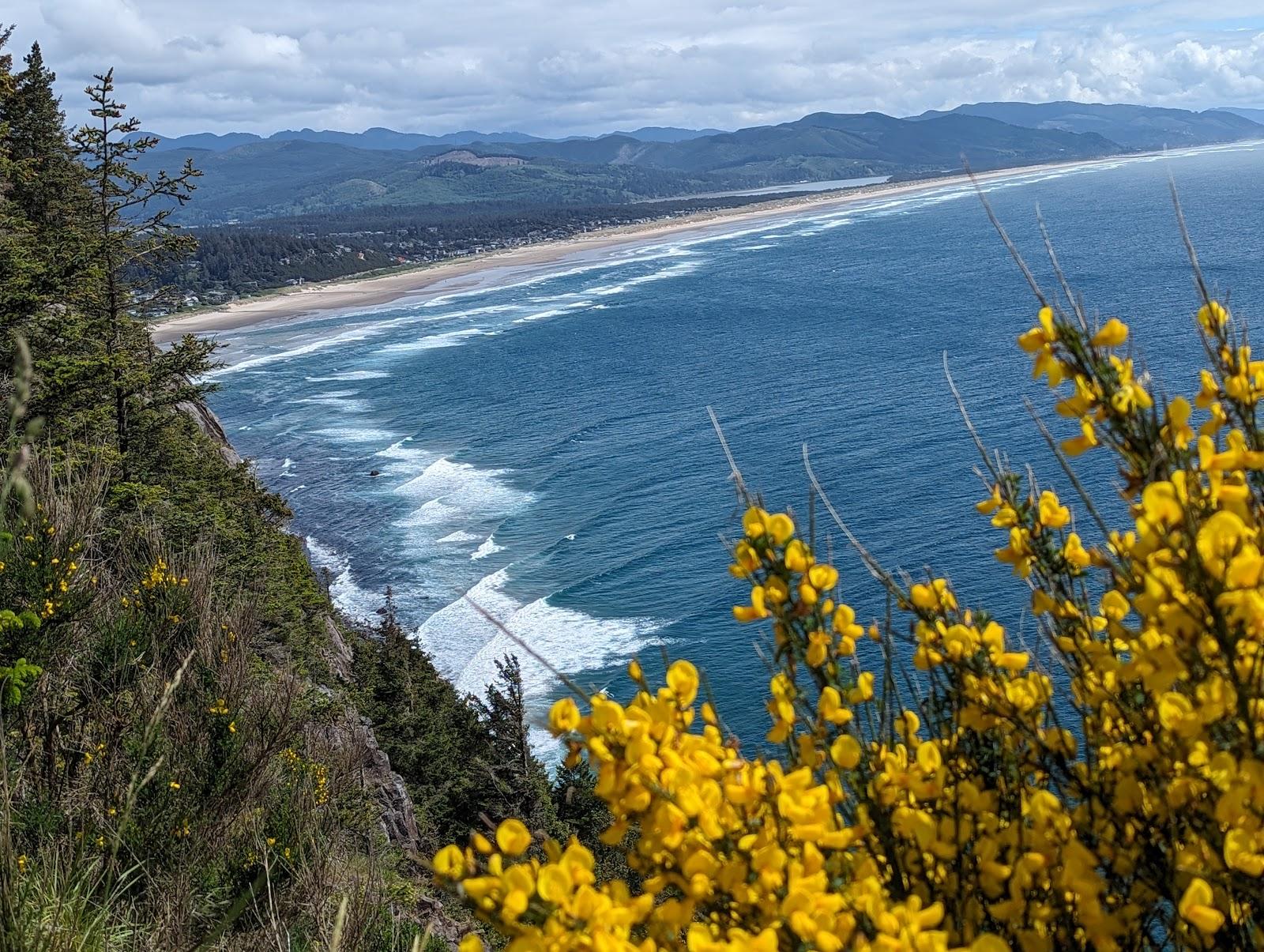 Sandee Neahkahnie Viewpoint Photo