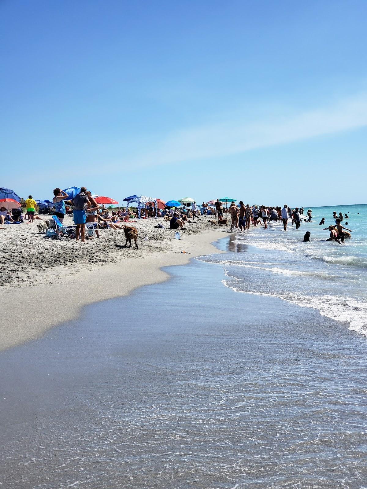 Sandee - Brohard Beach And Paw Park