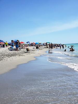 Sandee - Brohard Beach And Paw Park