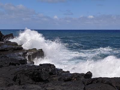 Sandee - Mackenzie State Recreation Area