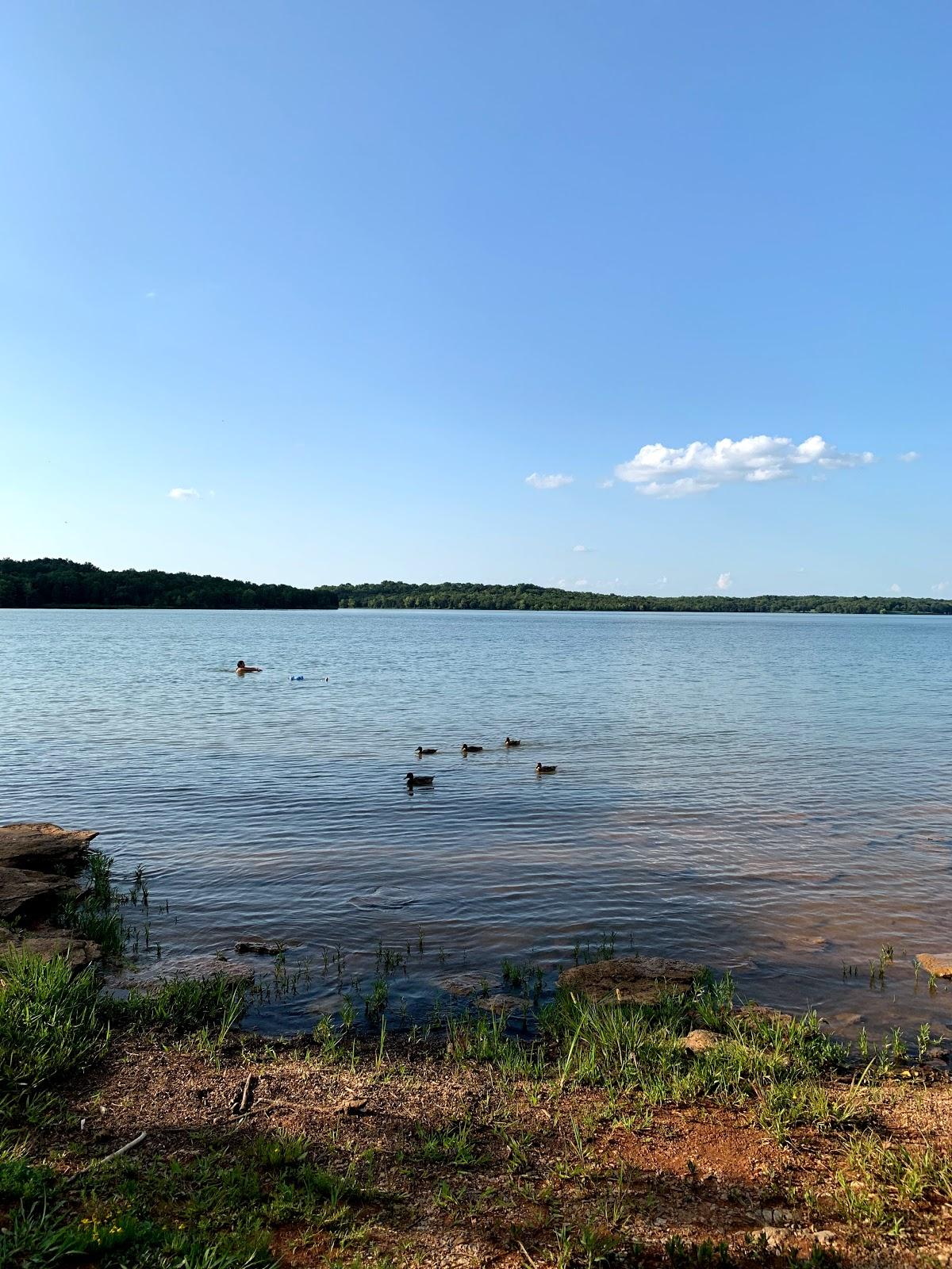 Sandee Smith Springs Park