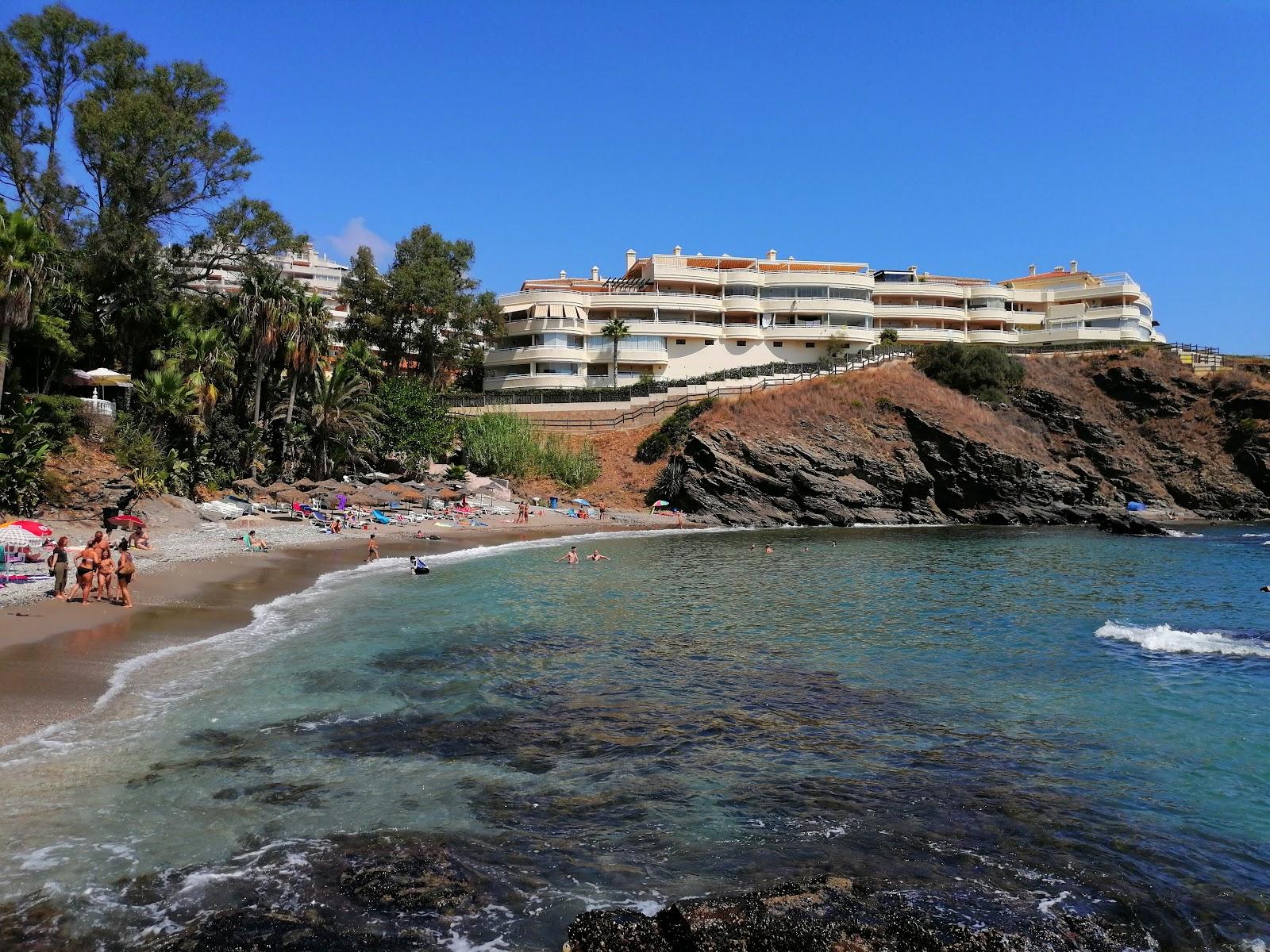 Sandee Playa De La Viborilla