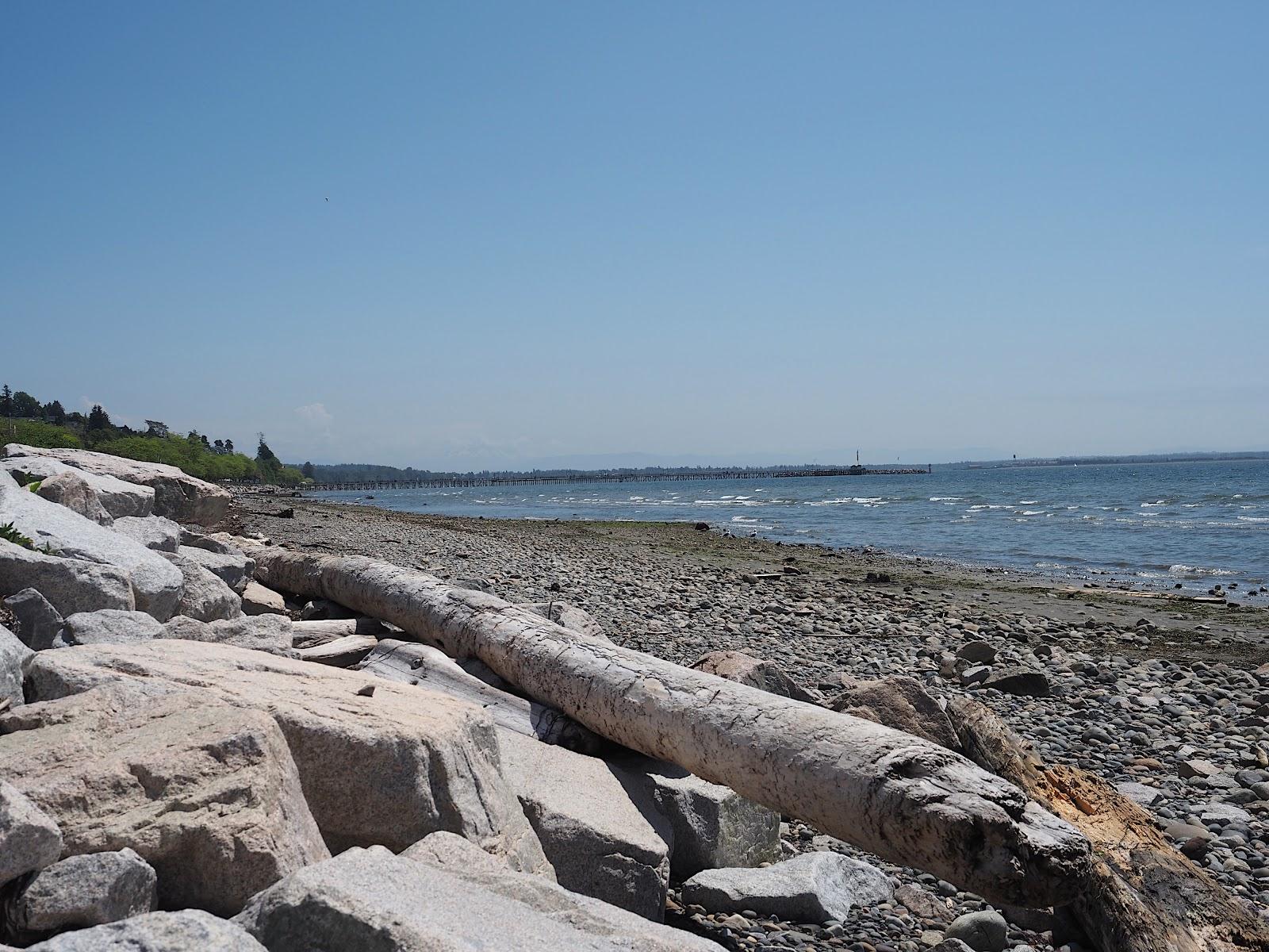 Sandee White Rock Beach Photo