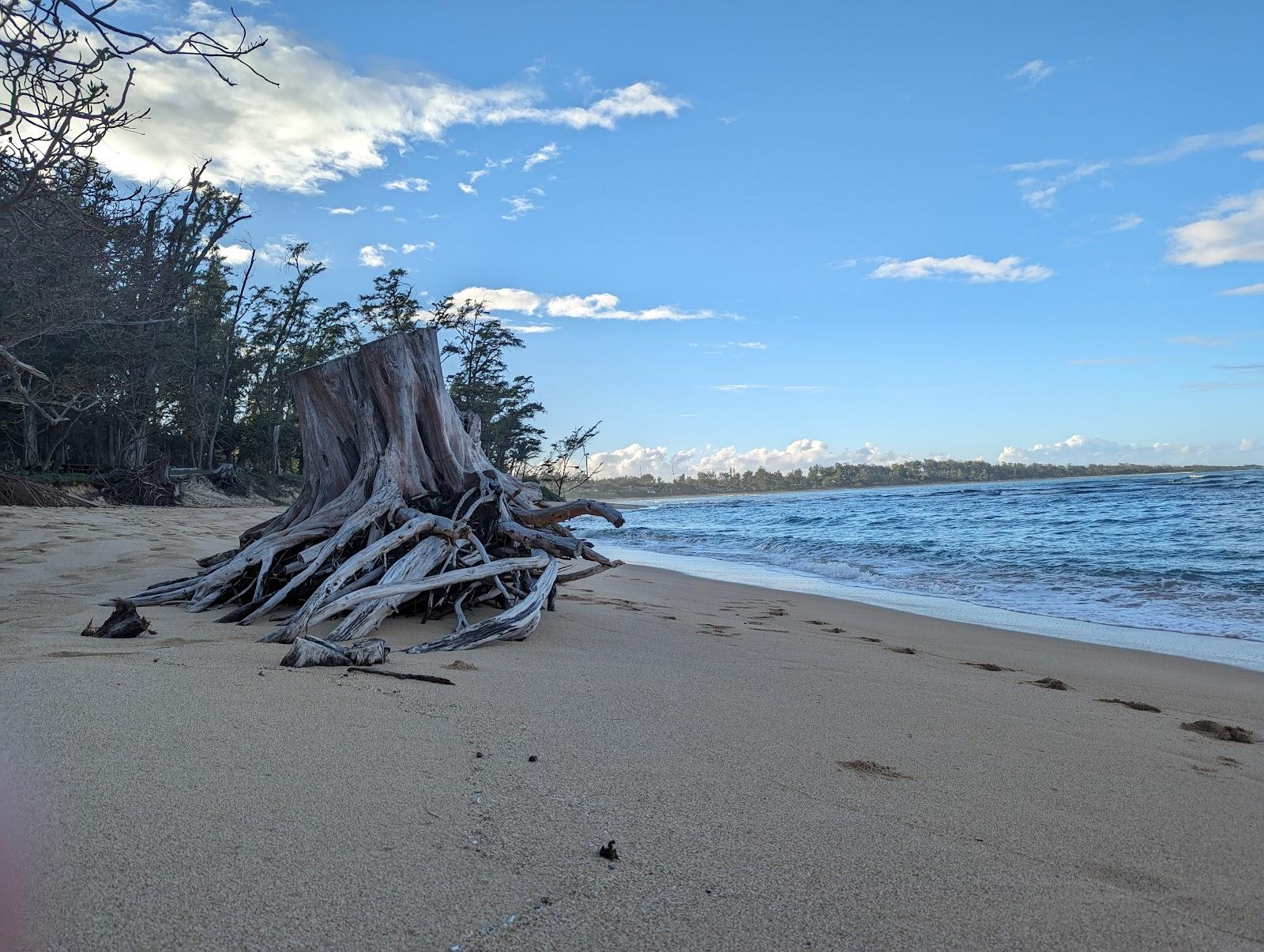 Sandee - Malaekahana State Campground