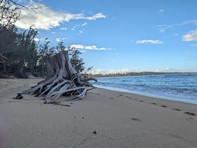 Sandee - Malaekahana State Campground