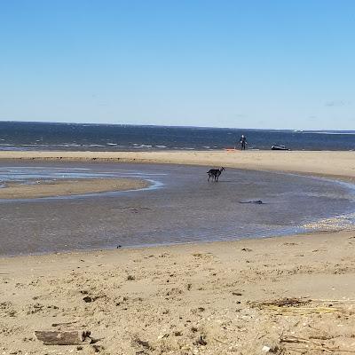 Sandee - South Beach - Area B Sandy Hook New Jersey