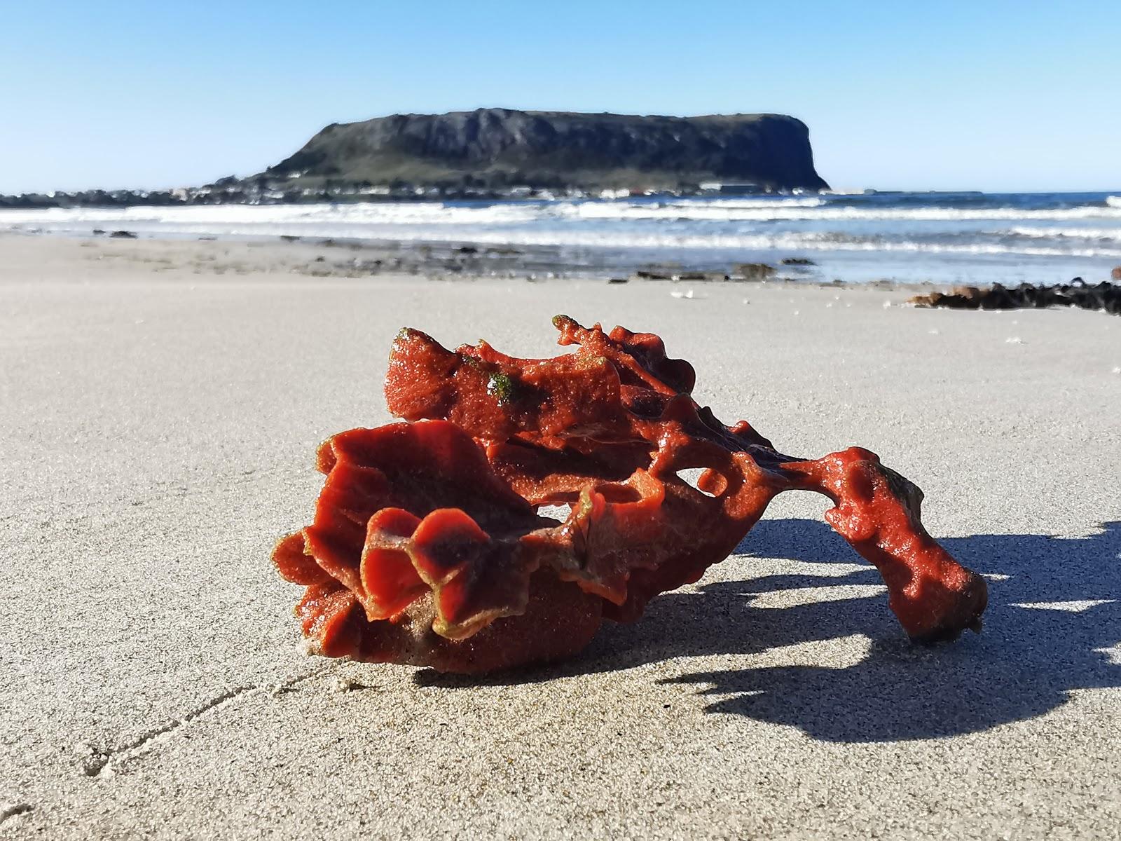 Sandee Tatlows Beach Photo