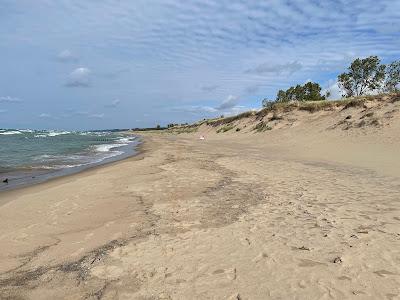 Sandee - Saugatuck Harbor Natural Area