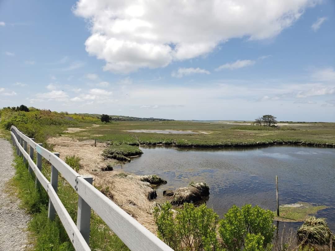 Sandee Bikepath Beach Photo