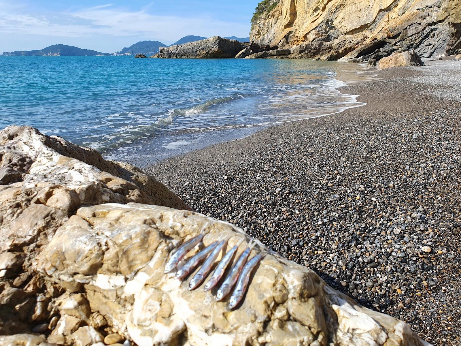 Sandee Spiaggia Del Groppolo