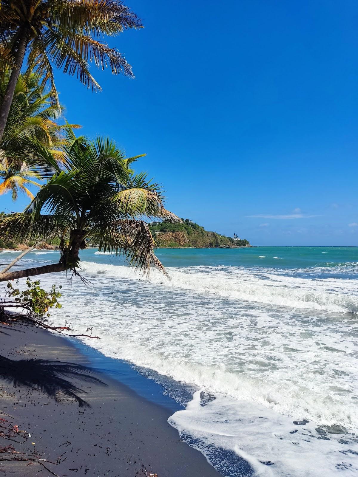 Sandee Los Bohios Beach