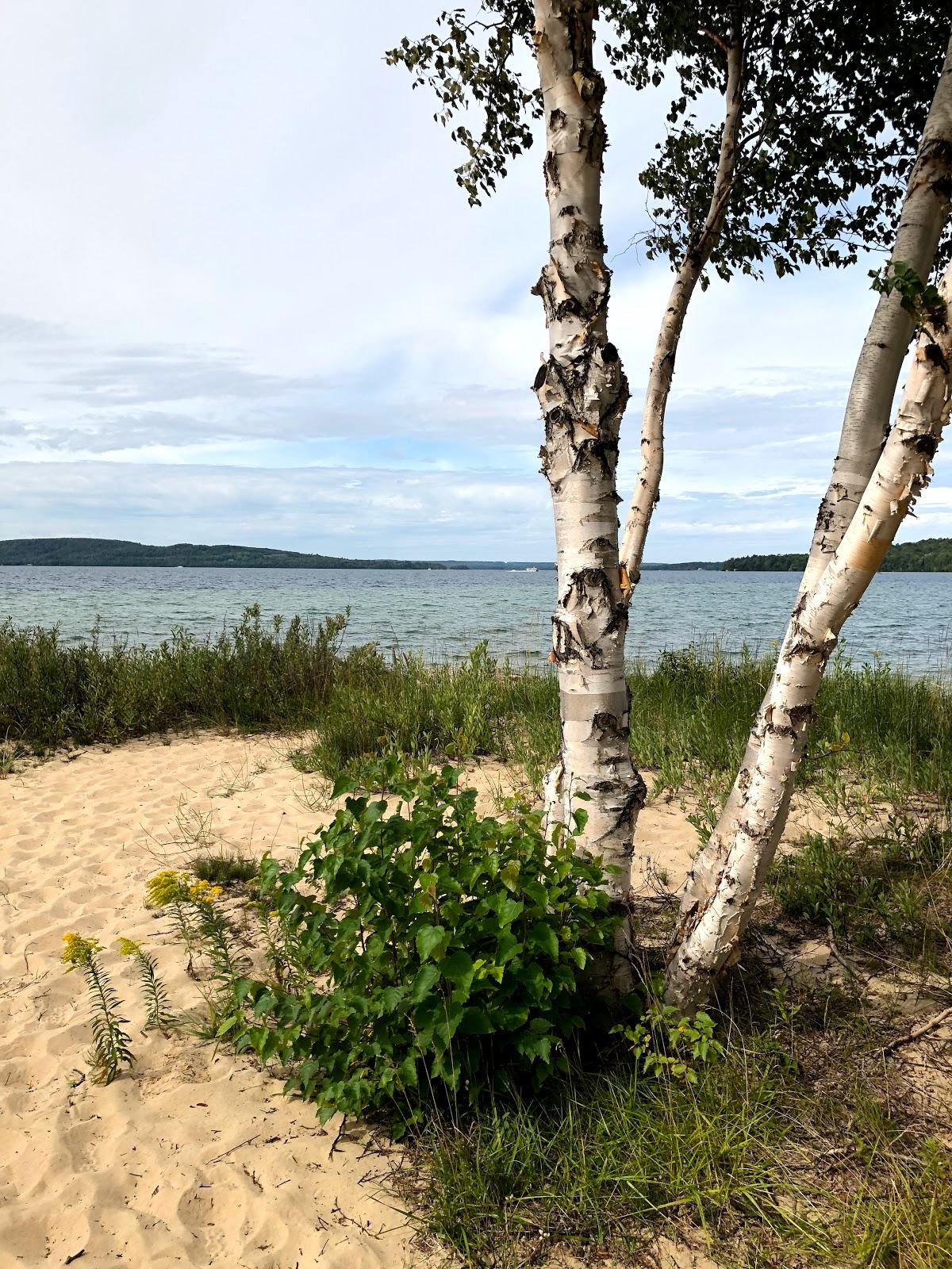 Sandee - Sand Point Beach