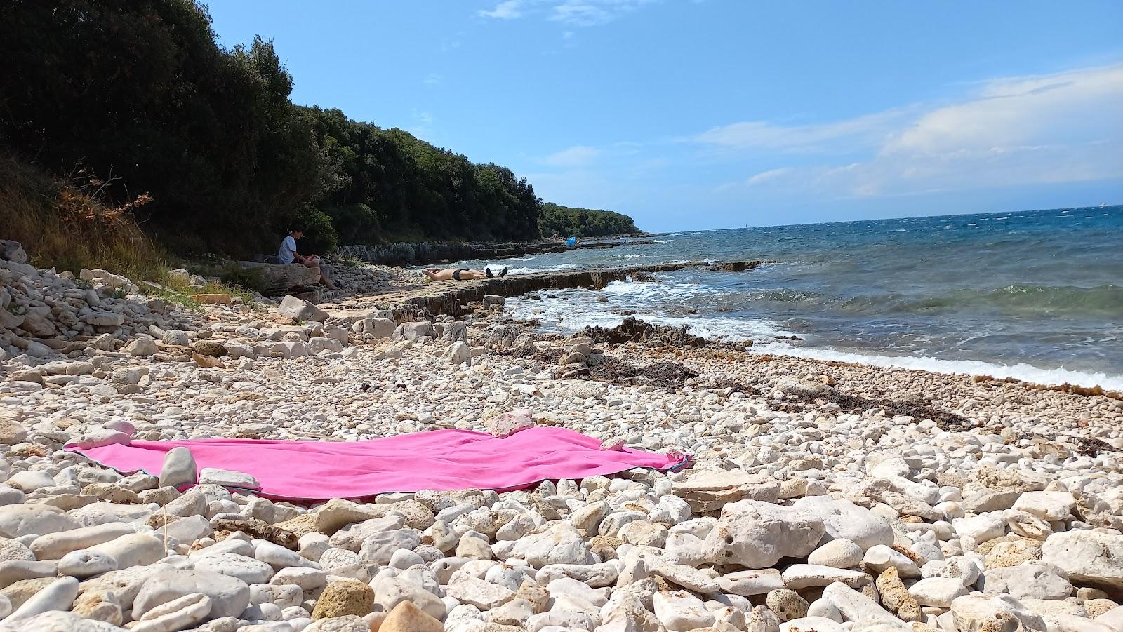 Sandee Beach Palud