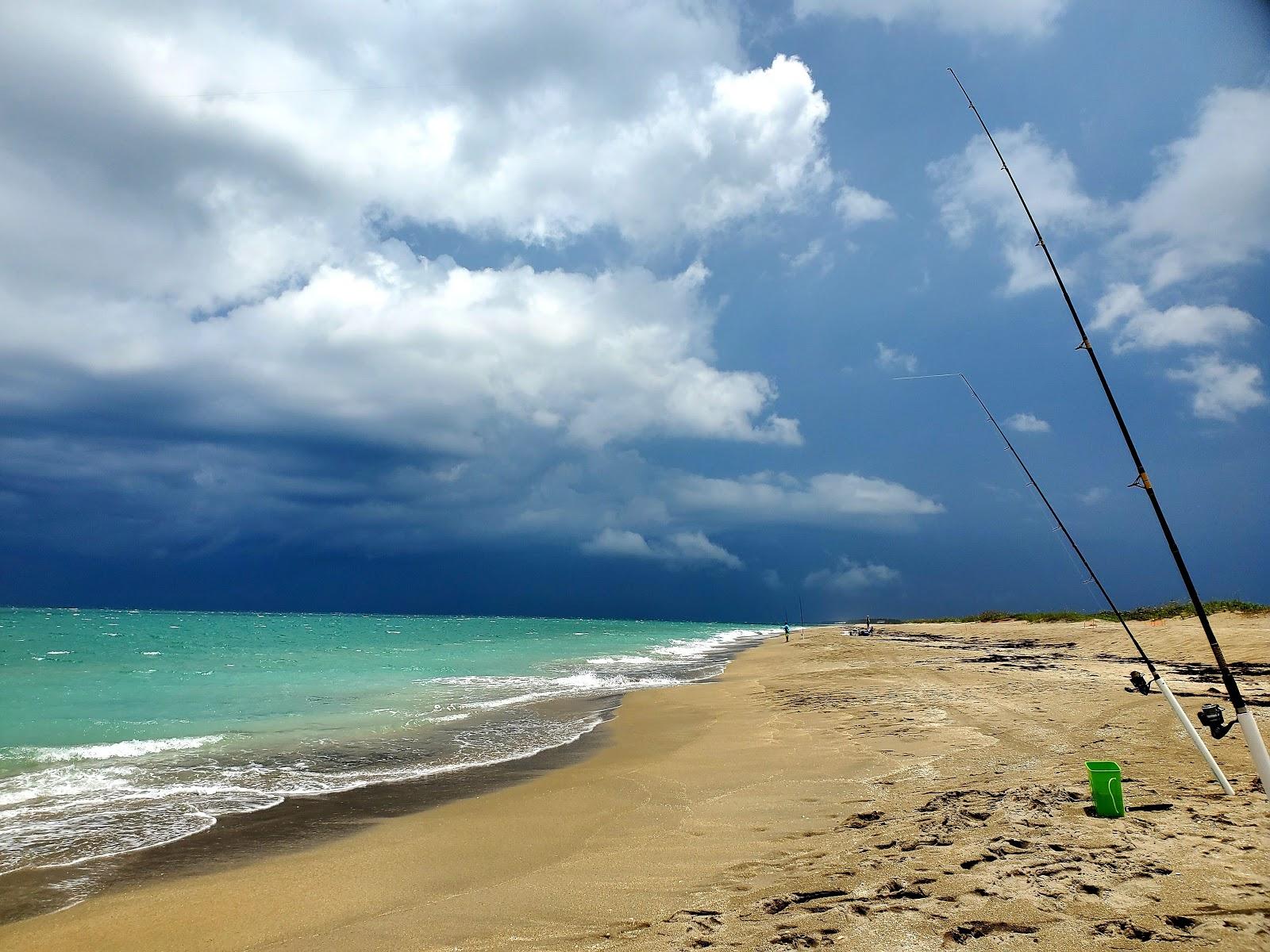 Sandee - Blue Heron Beach